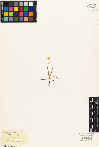 SW_BNB_s3010-03463_IMG-0000000001