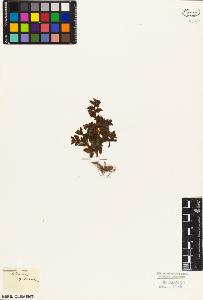 SW_BNB_s3010-03464_IMG-0000000001