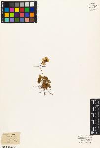 SW_BNB_s3010-03466_IMG-0000000001