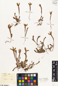SW_BNB_s3010-03467_IMG-0000000001