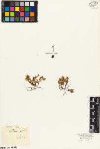 SW_BNB_s3010-03469_IMG-0000000001
