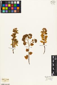 SW_BNB_s3010-03470_IMG-0000000001