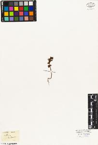 SW_BNB_s3010-03471_IMG-0000000001