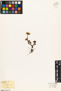 SW_BNB_s3010-03472_IMG-0000000001