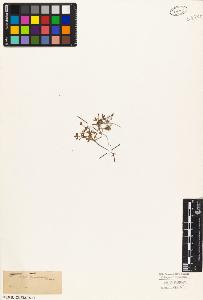 SW_BNB_s3010-03473_IMG-0000000001