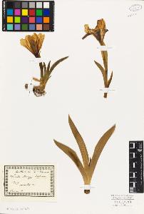 SW_BNB_s3010-03478_IMG-0000000001