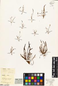 SW_BNB_s3010-03485_IMG-0000000001