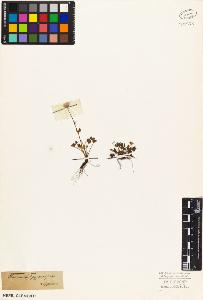 SW_BNB_s3010-03489_IMG-0000000001