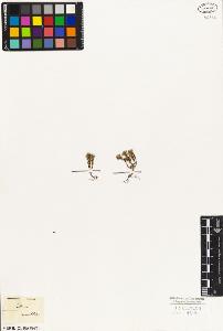 SW_BNB_s3010-03490_IMG-0000000001