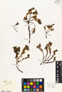 SW_BNB_s3010-03491_IMG-0000000001