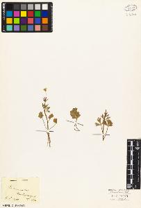 SW_BNB_s3010-03493_IMG-0000000001