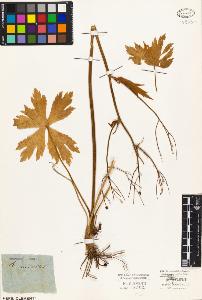 SW_BNB_s3010-03495_IMG-0000000001