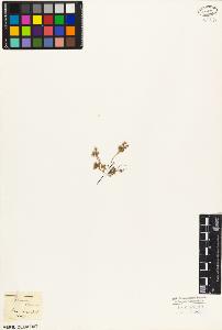 SW_BNB_s3010-03498_IMG-0000000001
