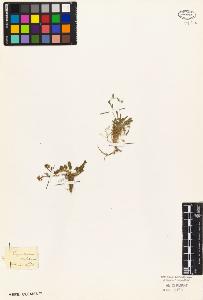 SW_BNB_s3010-03502_IMG-0000000001