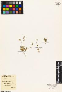 SW_BNB_s3010-03504_IMG-0000000001