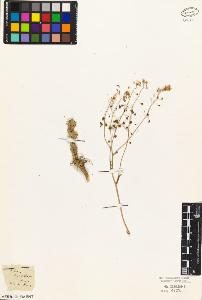 SW_BNB_s3010-03505_IMG-0000000001