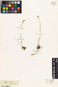 SW_BNB_s3010-03507_IMG-0000000001