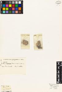 SW_BNB_s3010-03508_IMG-0000000001