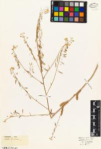 SW_BNB_s3010-03509_IMG-0000000001