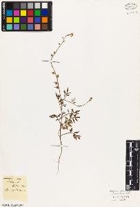 SW_BNB_s3010-03513_IMG-0000000001