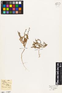 SW_BNB_s3010-03514_IMG-0000000001