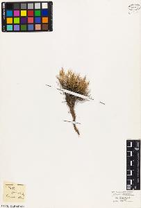 SW_BNB_s3010-03517_IMG-0000000001