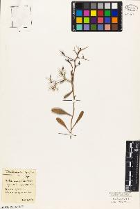 SW_BNB_s3010-03518_IMG-0000000001