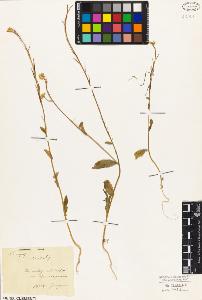 SW_BNB_s3010-03519_IMG-0000000001