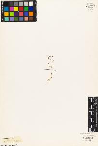 SW_BNB_s3010-03521_IMG-0000000001