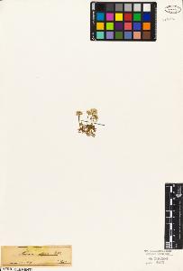 SW_BNB_s3010-03523_IMG-0000000001