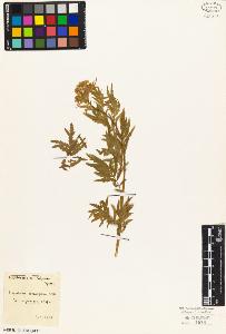 SW_BNB_s3010-03524_IMG-0000000001