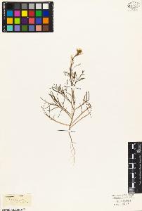 SW_BNB_s3010-03528_IMG-0000000001