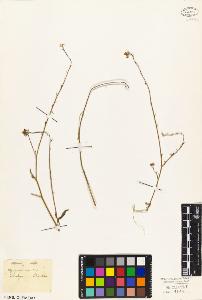 SW_BNB_s3010-03535_IMG-0000000001