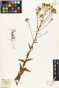 SW_BNB_s3010-03540_IMG-0000000001