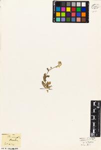 SW_BNB_s3010-03541_IMG-0000000001