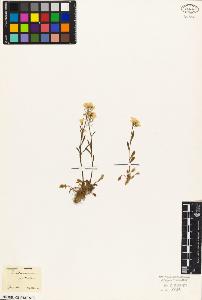 SW_BNB_s3010-03550_IMG-0000000001