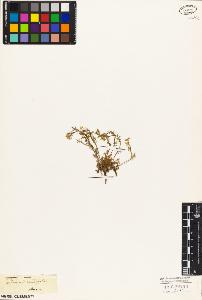 SW_BNB_s3010-03553_IMG-0000000001