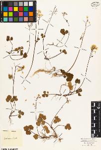 SW_BNB_s3010-03555_IMG-0000000001