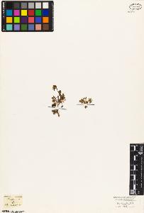 SW_BNB_s3010-03556_IMG-0000000001