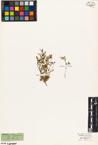 SW_BNB_s3010-03566_IMG-0000000001