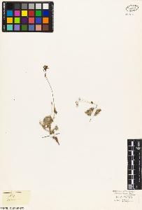 SW_BNB_s3010-03569_IMG-0000000001