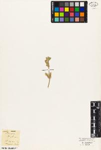 SW_BNB_s3010-03573_IMG-0000000001