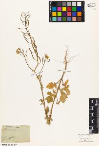 SW_BNB_s3010-03574_IMG-0000000001