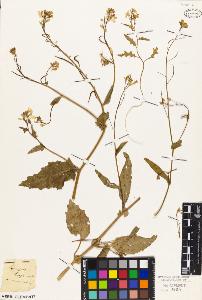 SW_BNB_s3010-03575_IMG-0000000001