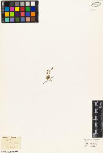 SW_BNB_s3010-03588_IMG-0000000001