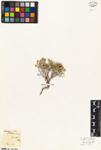 SW_BNB_s3010-03593_IMG-0000000001
