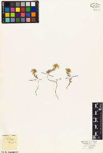 SW_BNB_s3010-03605_IMG-0000000001