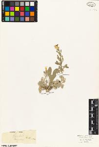 SW_BNB_s3010-03615_IMG-0000000001