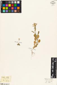 SW_BNB_s3010-03632_IMG-0000000001
