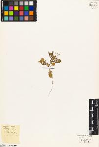 SW_BNB_s3010-03648_IMG-0000000001
